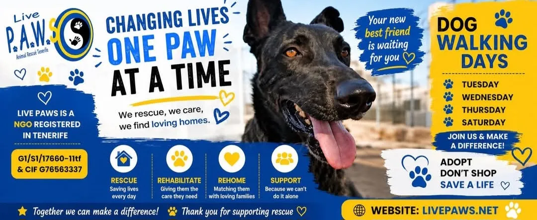 Live Paws banner