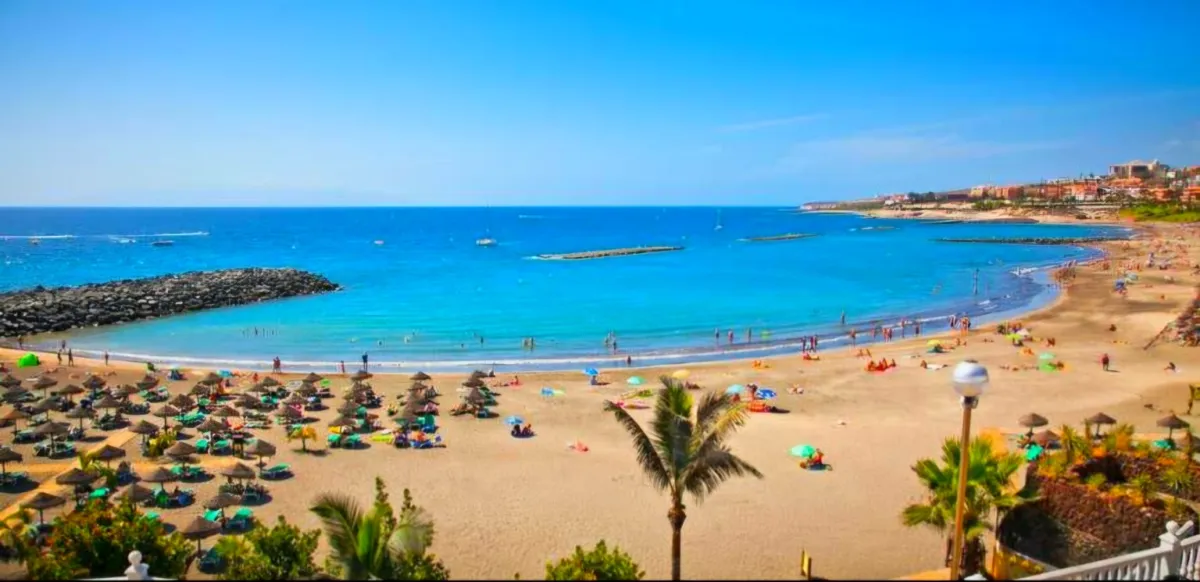 Playa del Camisón banner