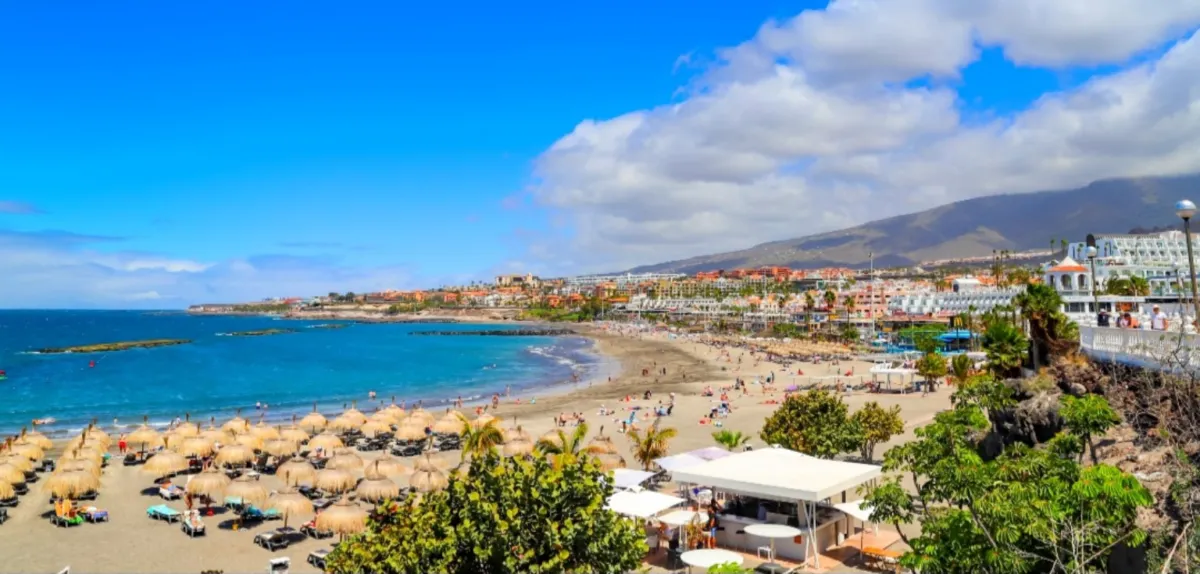 Playa de Torviscas banner