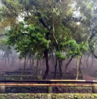 Área Recreativa La Caldera
