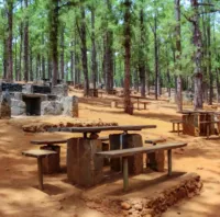 Área Recreativa Las Raíces