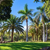 Parque de La Granja